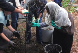 TreePlanting07      